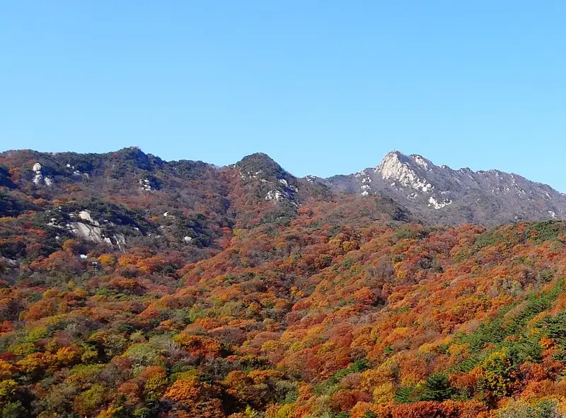 보현산