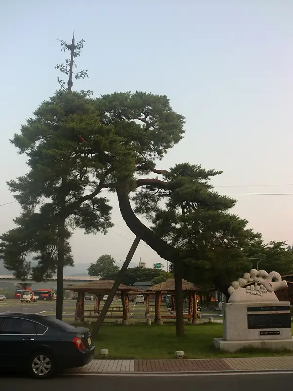 하동 송림 장소 사진