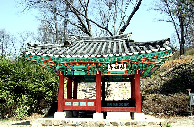 고송정지 장소 사진