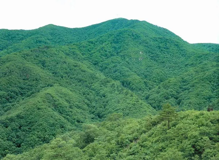 대암산·대우산 천연보호구역
