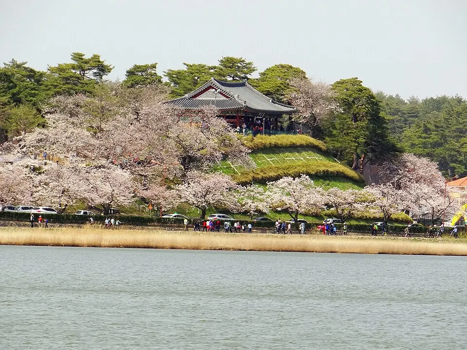 경포 도립공원 장소 사진