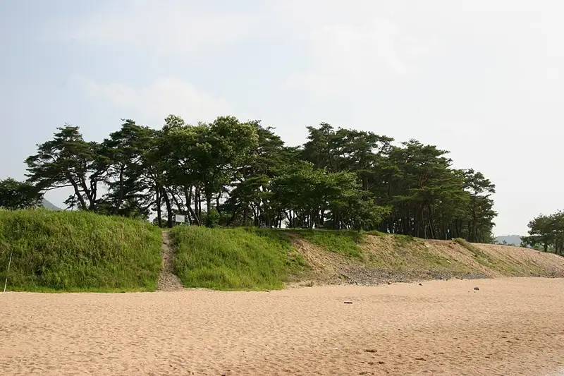 안동 하회마을 만송정 숲 장소 사진