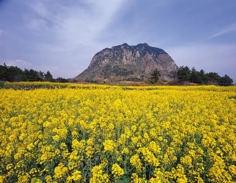 Sanbangsan