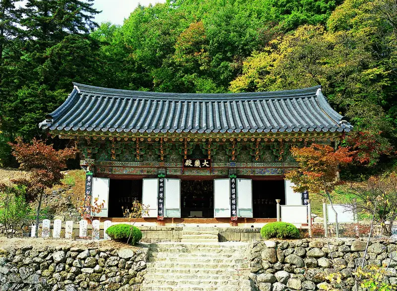 용문사 대장전 장소 사진